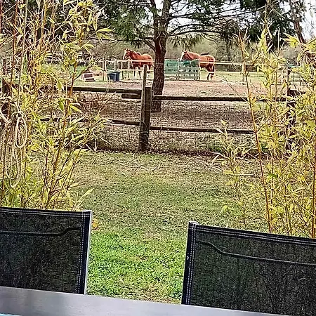 Ferienpark Mas De La Tour Carbonniere Aigues-Mortes