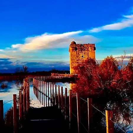 Mas De La Tour Carbonniere Feriepark Aigues-Mortes